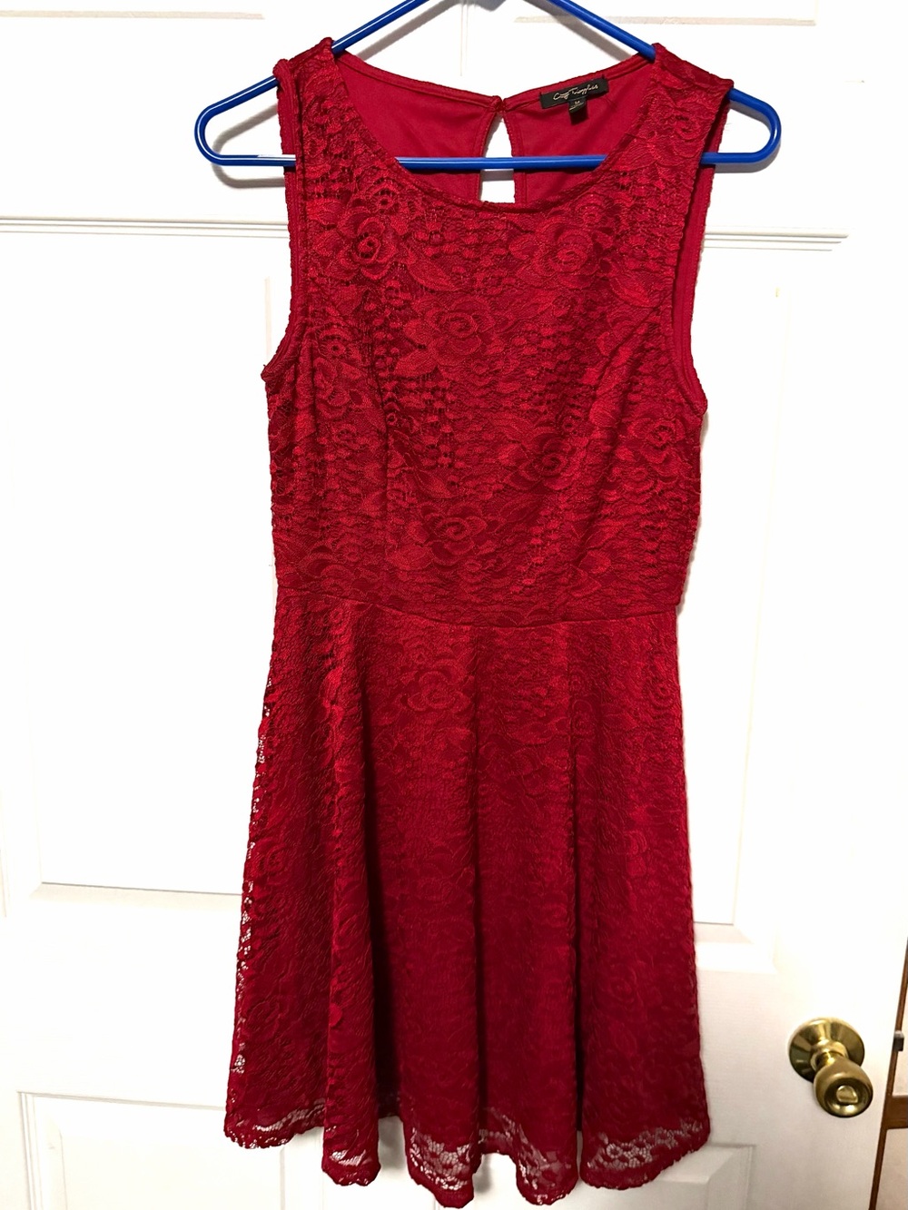 City Triangles Red Lace A-Line Mini Dress